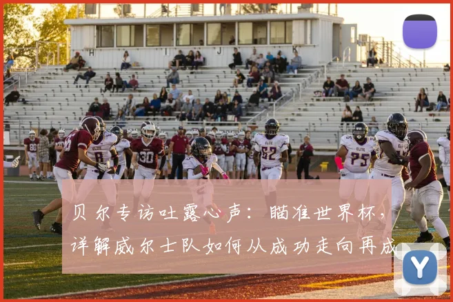 贝尔专访吐露心声：瞄准世界杯，详解威尔士队如何从成功走向再成功